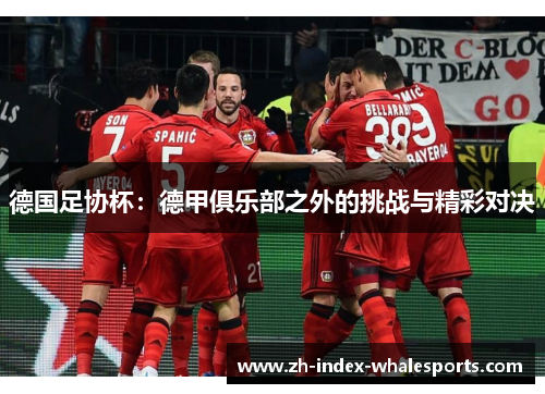 德国足协杯：德甲俱乐部之外的挑战与精彩对决