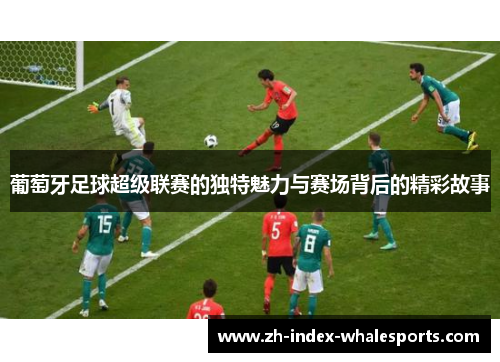 葡萄牙足球超级联赛的独特魅力与赛场背后的精彩故事