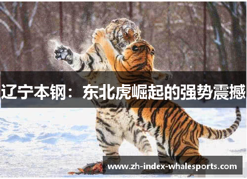辽宁本钢：东北虎崛起的强势震撼